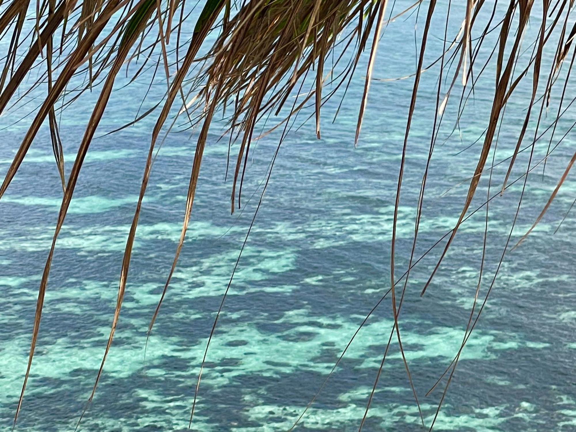 Chalets Bougainville Takamaka Rum bild